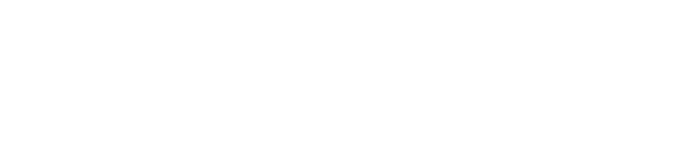 Levasa